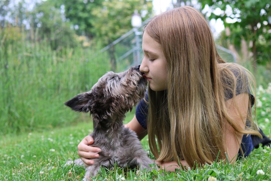Essential Dog Supplies Buying Guide: Top Tips for Every Pet Owner