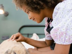 Litter-Robot 4 vs. PetSafe ScoopFree: Discover the Best Automated Litter Box for Your Cat