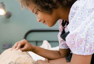 Litter-Robot 4 vs. PetSafe ScoopFree: Discover the Best Automated Litter Box for Your Cat